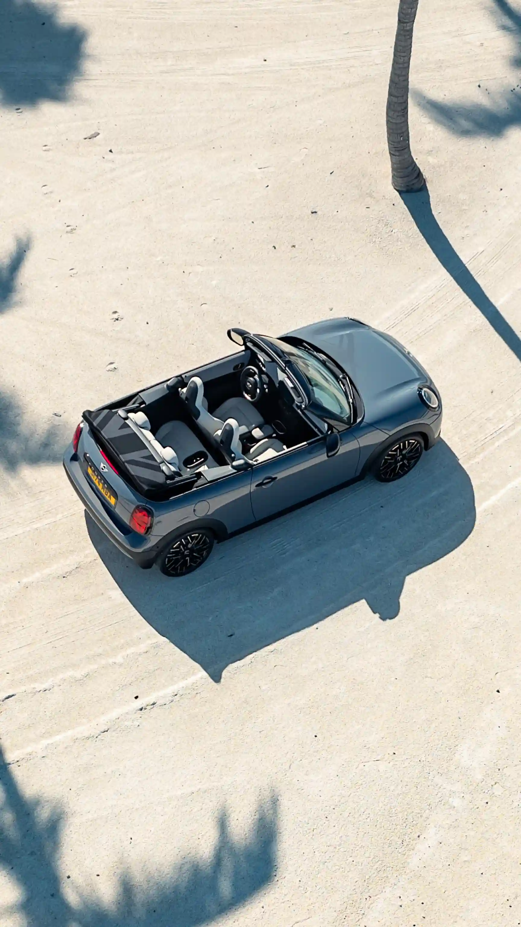 MINI Cabrio – Palmer