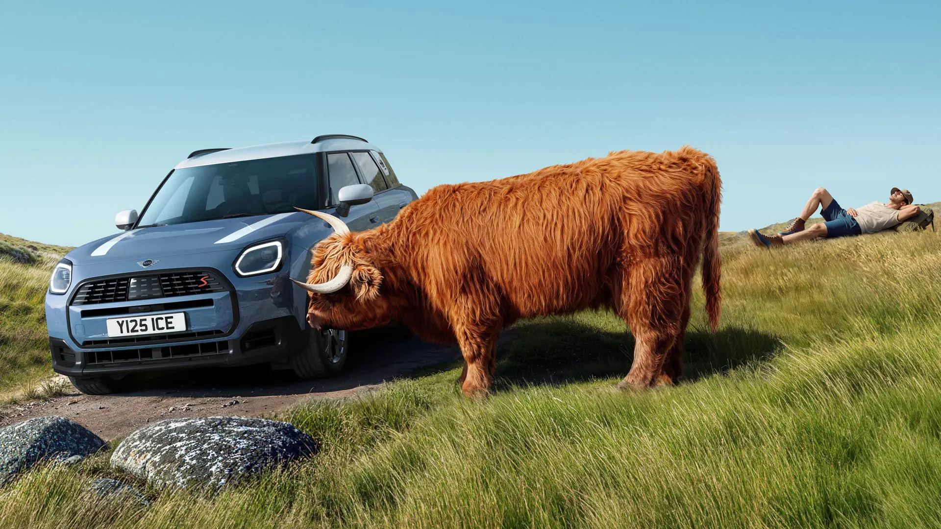 En MINI Countryman kører forbi en ko, der græsser fredeligt i nærheden. Med Proactive Care håndterer vi bekymringerne, du kører.